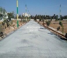 Sizzle JR Elite Featured Image