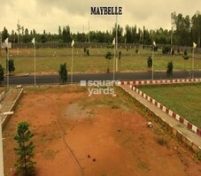 Sizzle Maybelle Featured Image