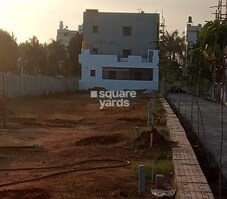 Sizzle Rosewood Featured Image