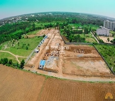 Sizzle Sunrise Featured Image