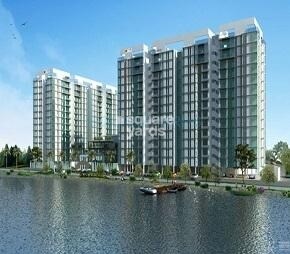 SJR Primecorp Water Mark