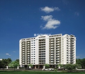 SKAV Grande