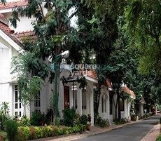 Skylark Greens Featured Image