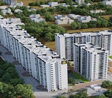 SNN Felicity Featured Image