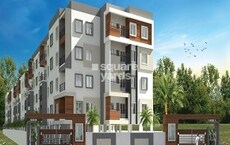 SNR Safa Featured Image