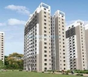 Sobha Basil Video