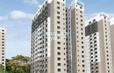 Sobha Basil Featured Image