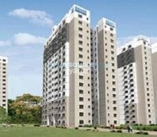 Sobha Basil Featured Image