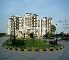 Sobha Daffodil Featured Image