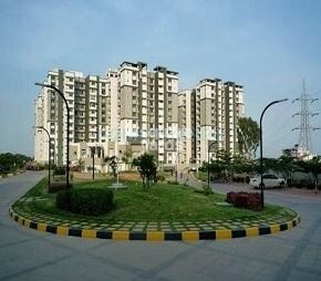 Sobha Daffodil