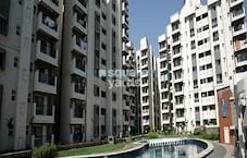 Sobha Iris Featured Image