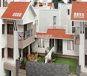 Sobha Orchid