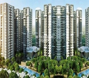 Sobha Rain Forest