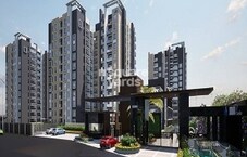 Sohan Exotica Featured Image