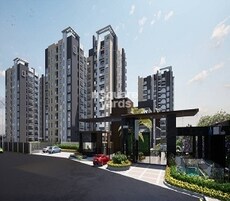 Sohan Exotica Featured Image