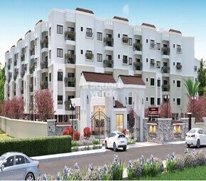 Sowparnika Flamenco Featured Image