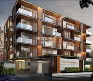 Spectra Raywoods Video