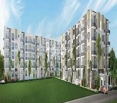 Sraddha White Cliff Featured Image