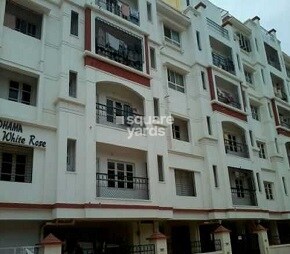 Sree Dhama White Rose