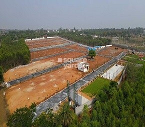 Sriparvata And Best Green County