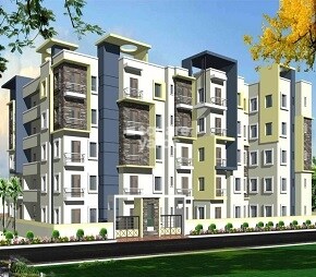 Sriven Luminous Amaltas