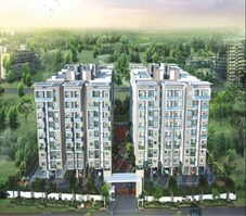 SSVR Tridax Featured Image