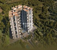 Surya Humming Bird Video