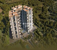 Surya Humming Bird Featured Image