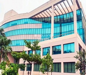 Surya Wave