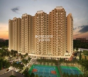 Suvilas Palms Video