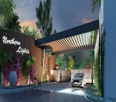 Taapasi Northern Lights Featured Image