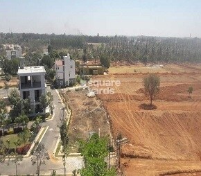 Taapasi Rosevista