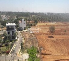 Taapasi Rosevista Featured Image