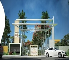 Taapasi Summer Bay Featured Image