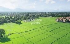 Tata Raagam Featured Image