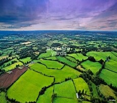 Tata Swaram Featured Image