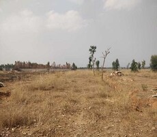 Tattvam Azalea Featured Image