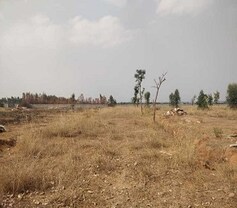 Tattvam Azalea, Anekal, Bangalore