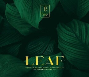 Terra Blue LEAF Villa Enclave