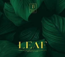 Terra Blue LEAF Villa Enclave Featured Image