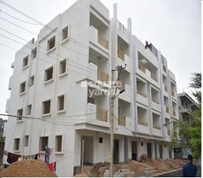 Tetra Grand Green Admire Featured Image