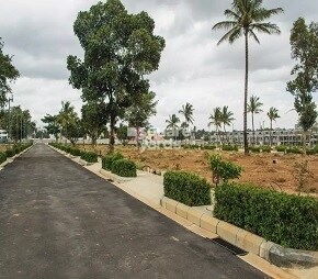 tn the address makers serenity project flagship1