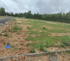 The Woods Of East Phase 8, Sarjapur Road, Bangalore