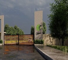 Total Classic Canaan Featured Image