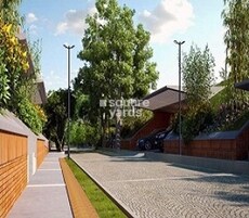 Total Environment After The Rain Featured Image