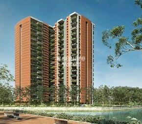 Total Environment Pursuit of a Radical Rhapsody, Whitefield, Bangalore