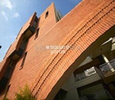 Total Environment Shine On Featured Image