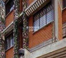 Total Green is the colour Featured Image