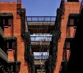 Total Raindrops Keep Falling On My Head in Sarjapur, Bangalore