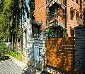 Total Scarlet Begonias Featured Image